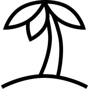 PTO & paid holidays PTO & paid holidays